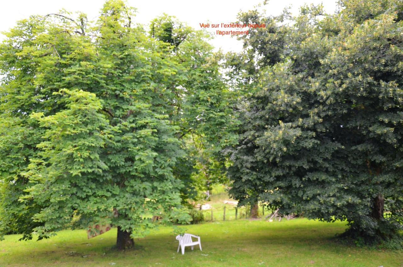 Appartement de 3 chambres avec jardin clos et wifi a Orgnac sur Vezere Extérieur photo