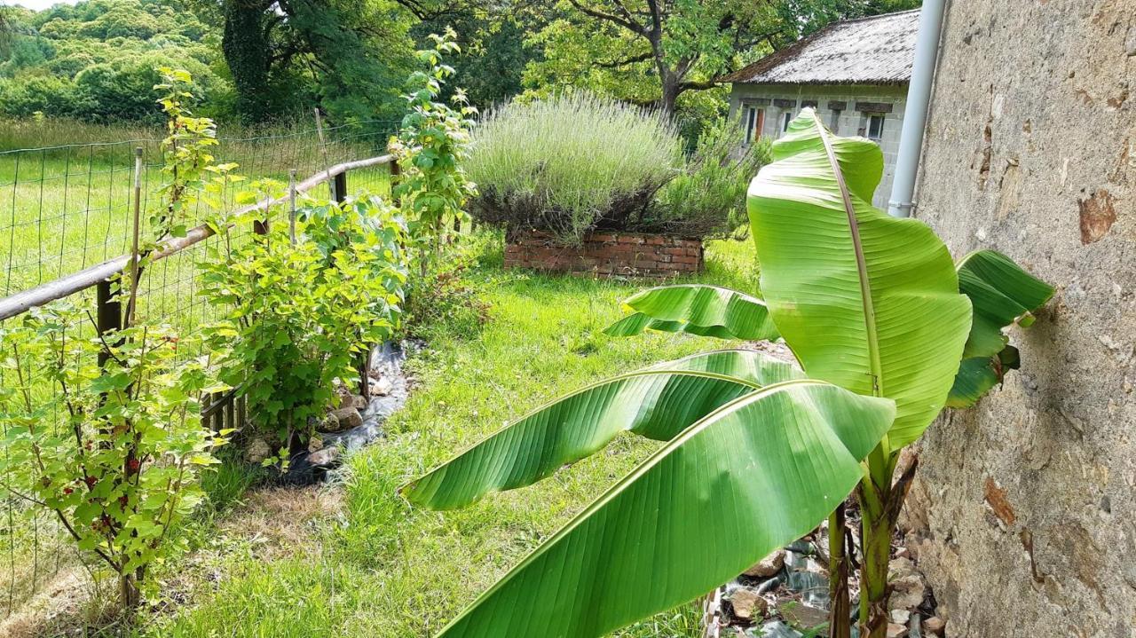 Appartement de 3 chambres avec jardin clos et wifi a Orgnac sur Vezere Extérieur photo