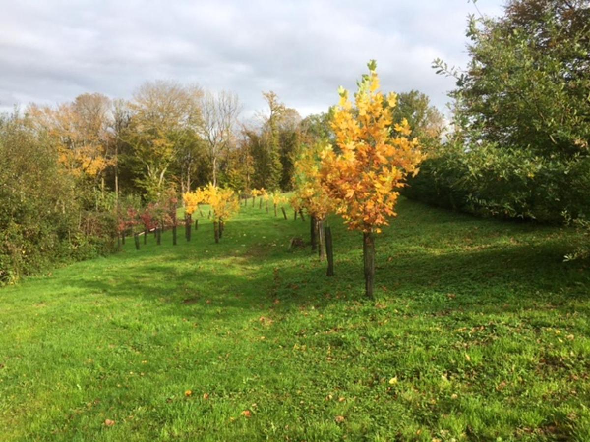 Appartement de 3 chambres avec jardin clos et wifi a Orgnac sur Vezere Extérieur photo